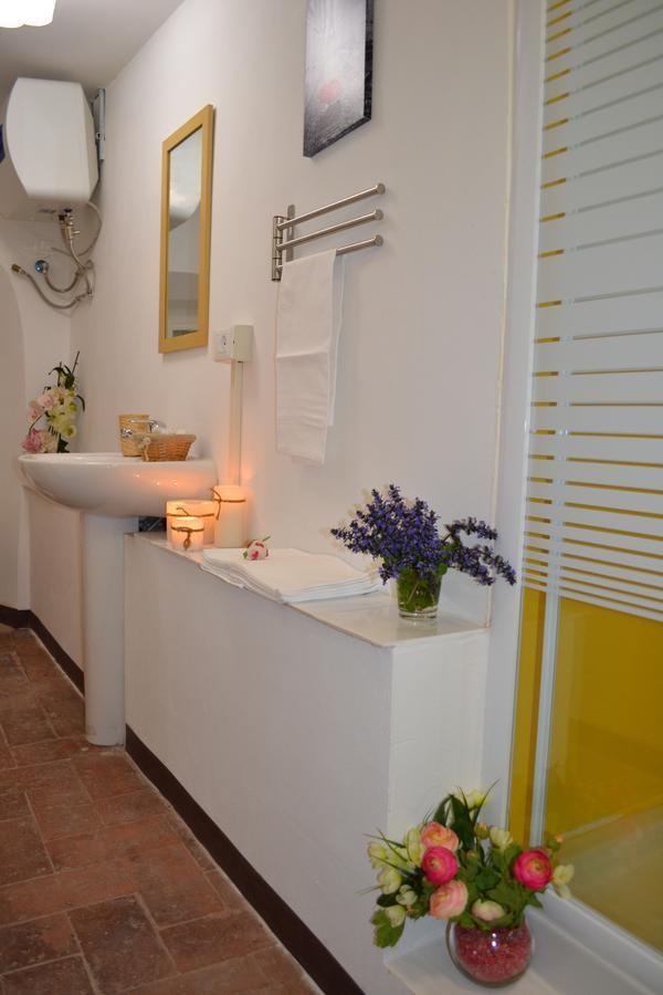 Studio In Centre Apartment Lucca Luaran gambar